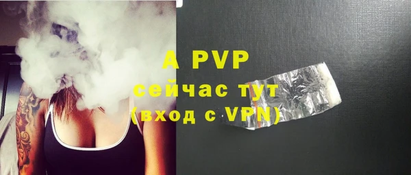 тгк Новозыбков
