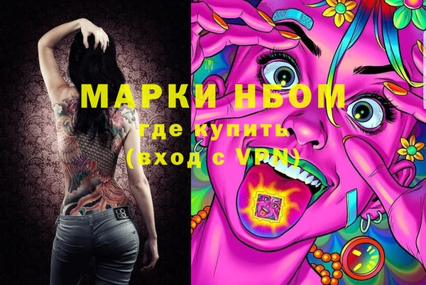 стафф Нефтегорск