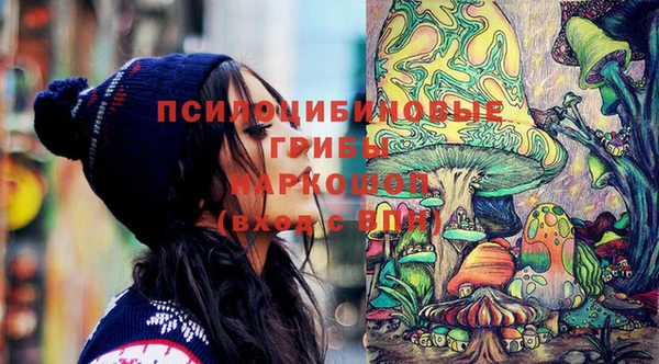 apvp Новодвинск