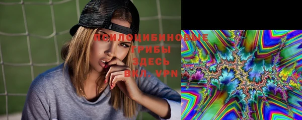 тгк Новозыбков