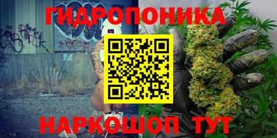 шишки Новокубанск