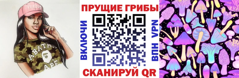Галлюциногенные грибы ЛСД  mega ссылки  Славянск-на-Кубани 
