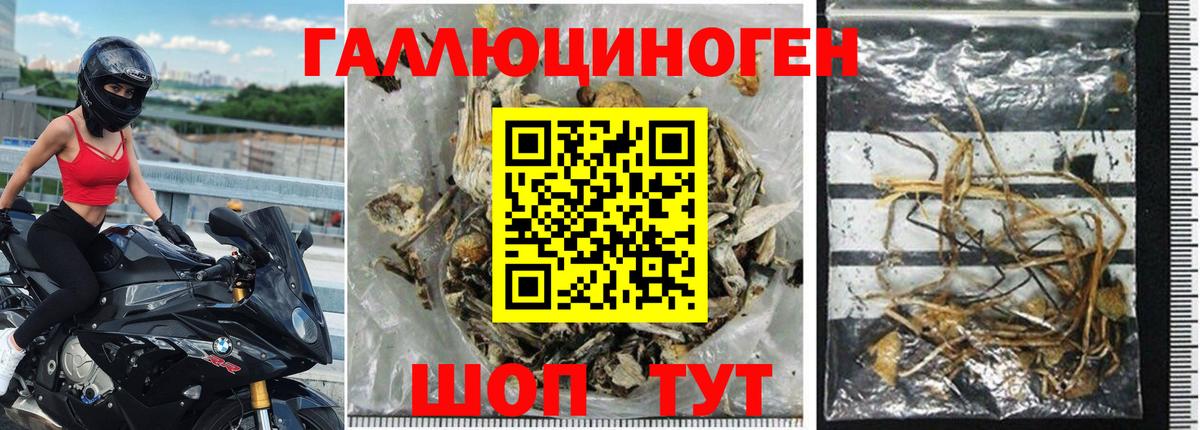 Славянск-на-Кубани  Галлюциногенные грибы мухоморы  Вход с VPN 